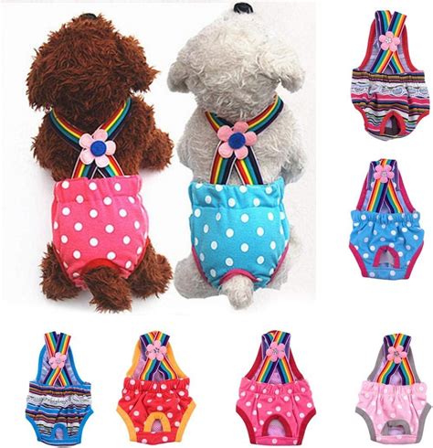 Amazon.com: Female Dog Underwear